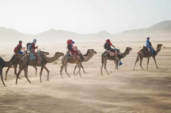 Travel Together With Us